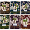 Radhika Viscose Floral Print Saree – With Blouse